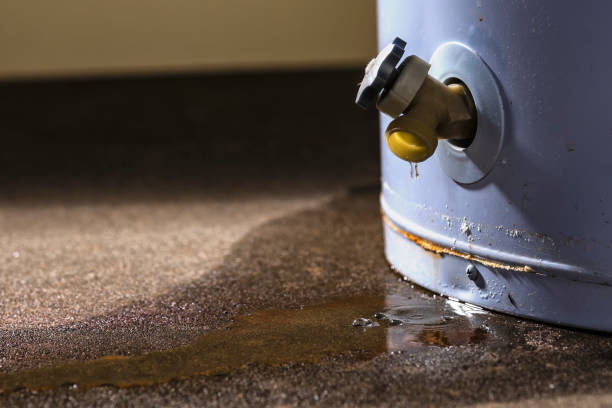 Best Flood damage cleanup  in Portsmouth, OH