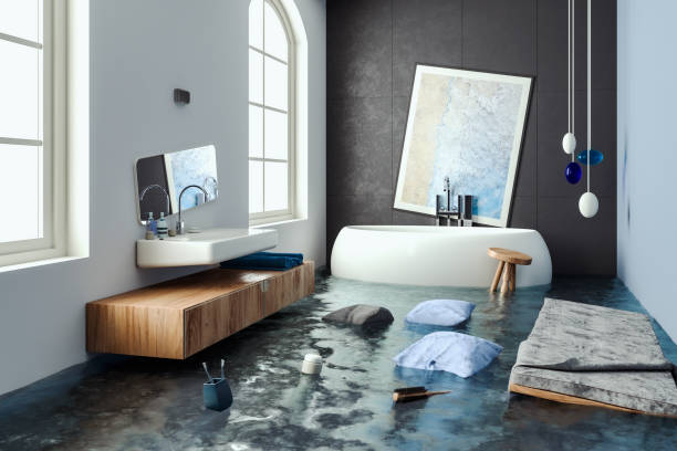Best Mold removal after water damage  in Portsmouth, OH