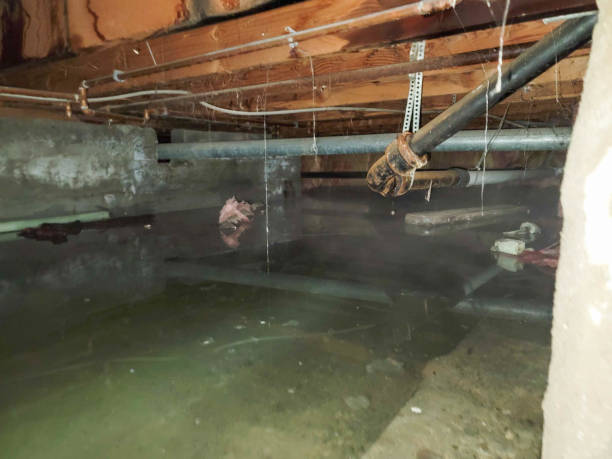 Best Ceiling water damage repair  in Portsmouth, OH