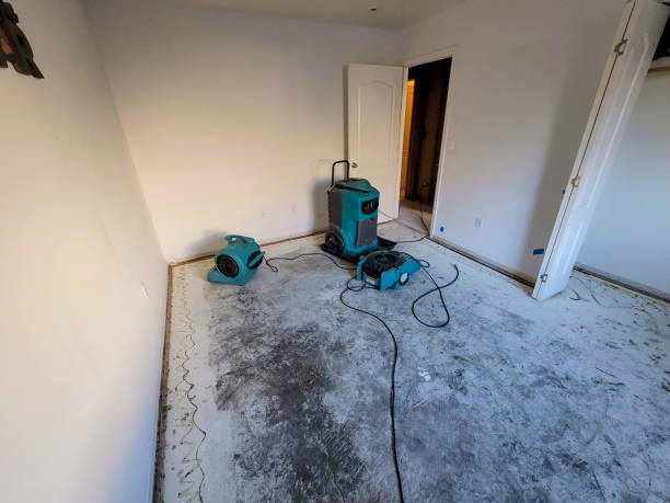Best Water damage restoration near me  in Portsmouth, OH