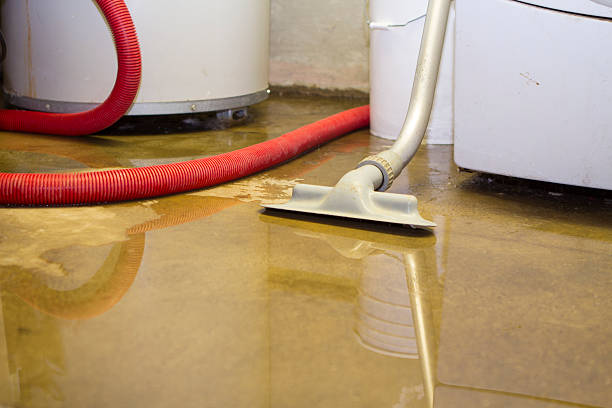 Best Flood restoration services  in Portsmouth, OH
