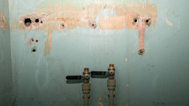  Portsmouth, OH Water damage restoration Pros