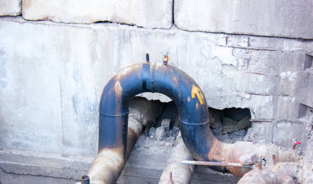 Best Professional water damage repair  in Portsmouth, OH