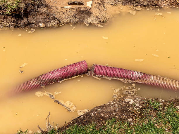 Best Water damage restoration near me  in Portsmouth, OH